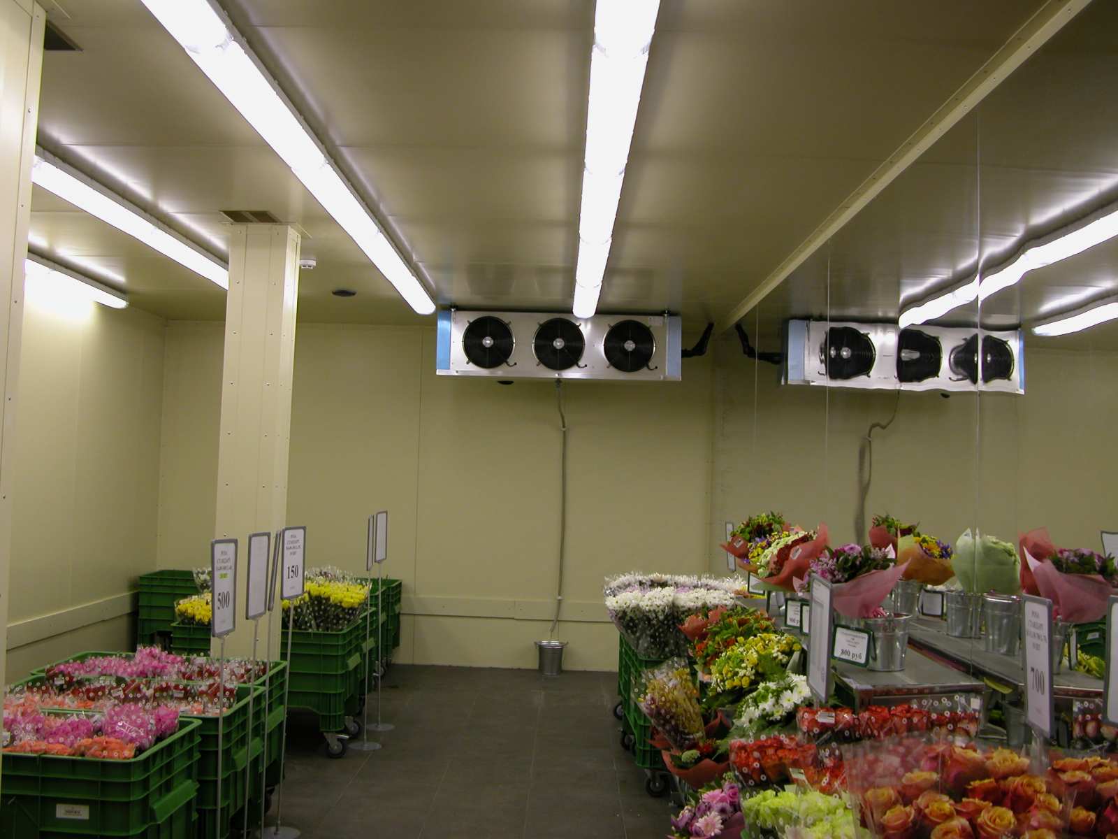 Холодильная камера для овощей 30мкв
